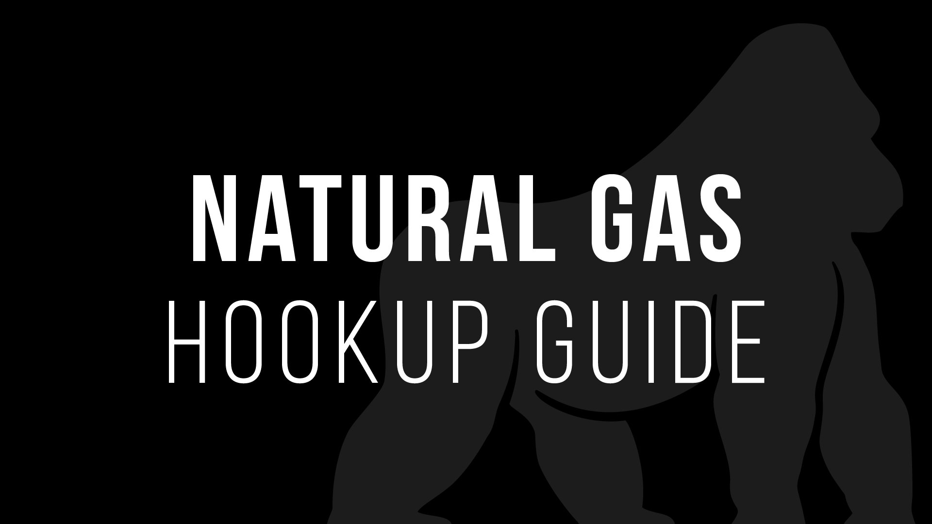 Natural Gas Conversion Kit